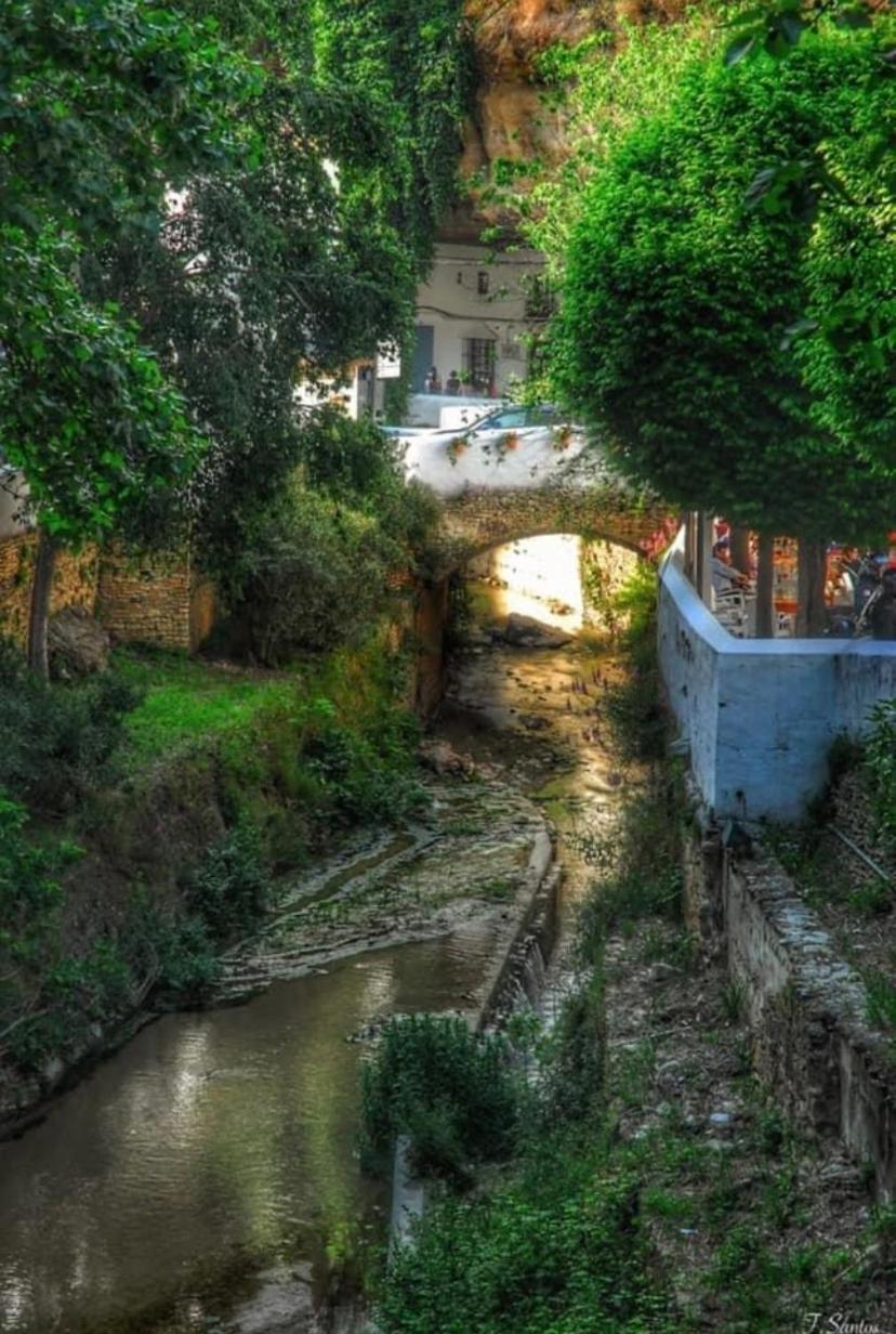 Casa Cueva Un Rincon En La Roca Villa Setenil De Las Bodegas Luaran gambar